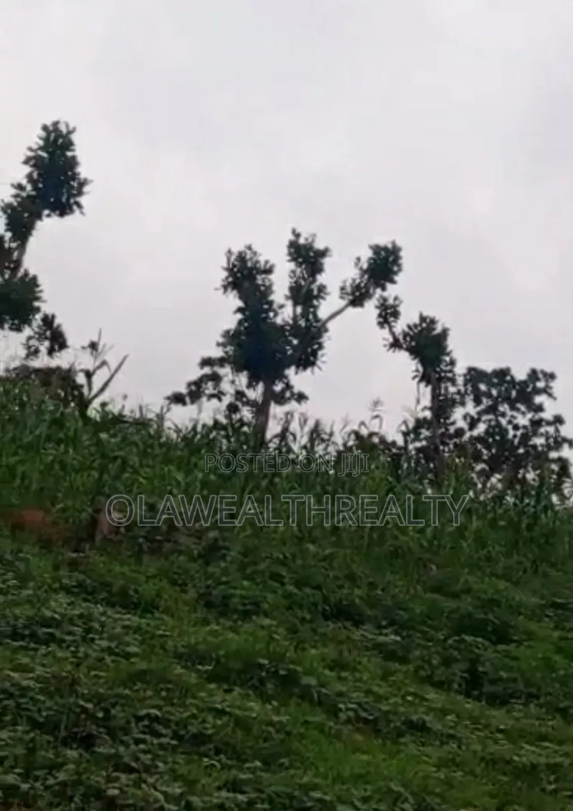 2,261sqm Land at Garki Area 3