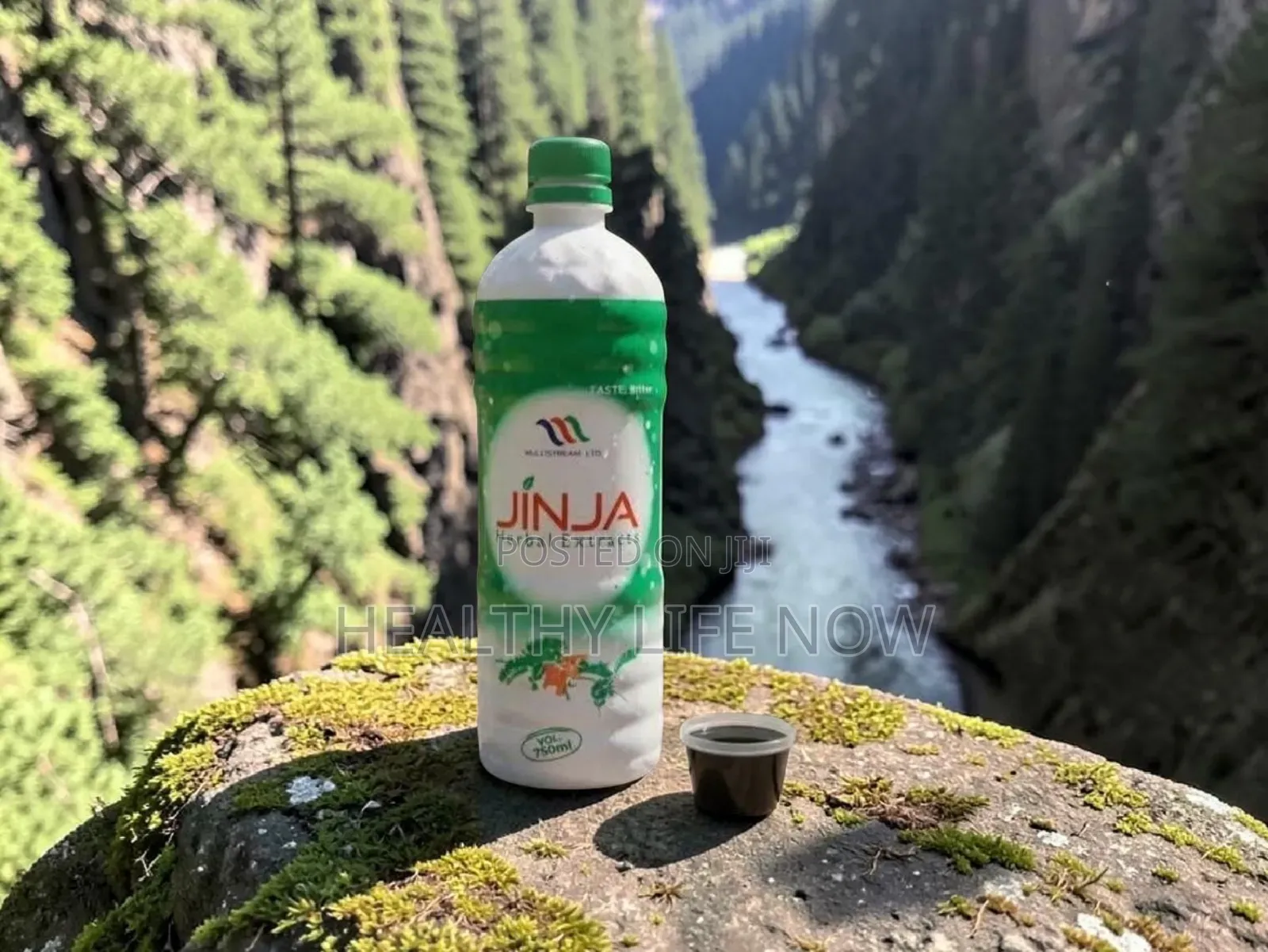 Support Your Body's Natural Protection System Wit Jinja Herbal Extract