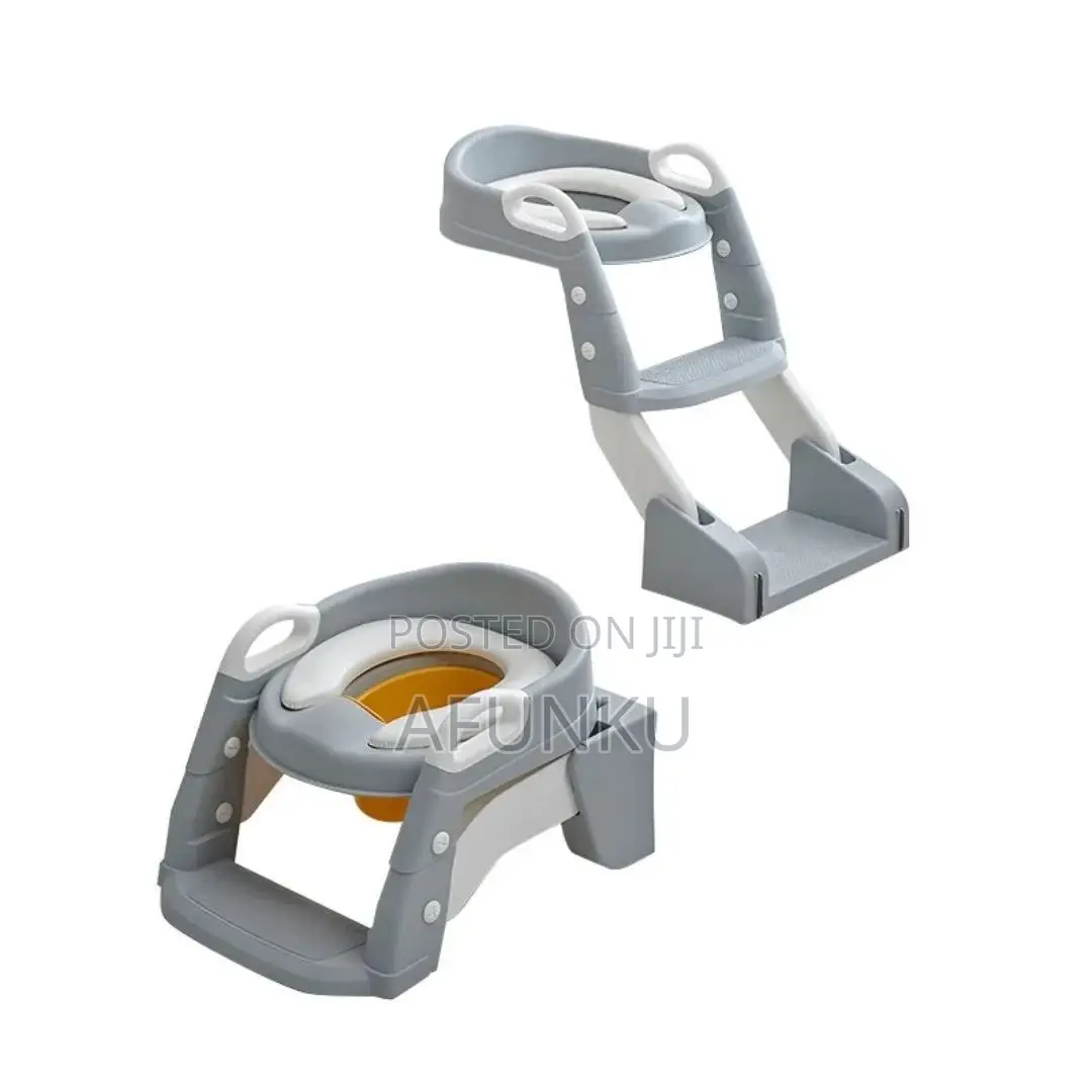 2 Way Kid Potty Ladder