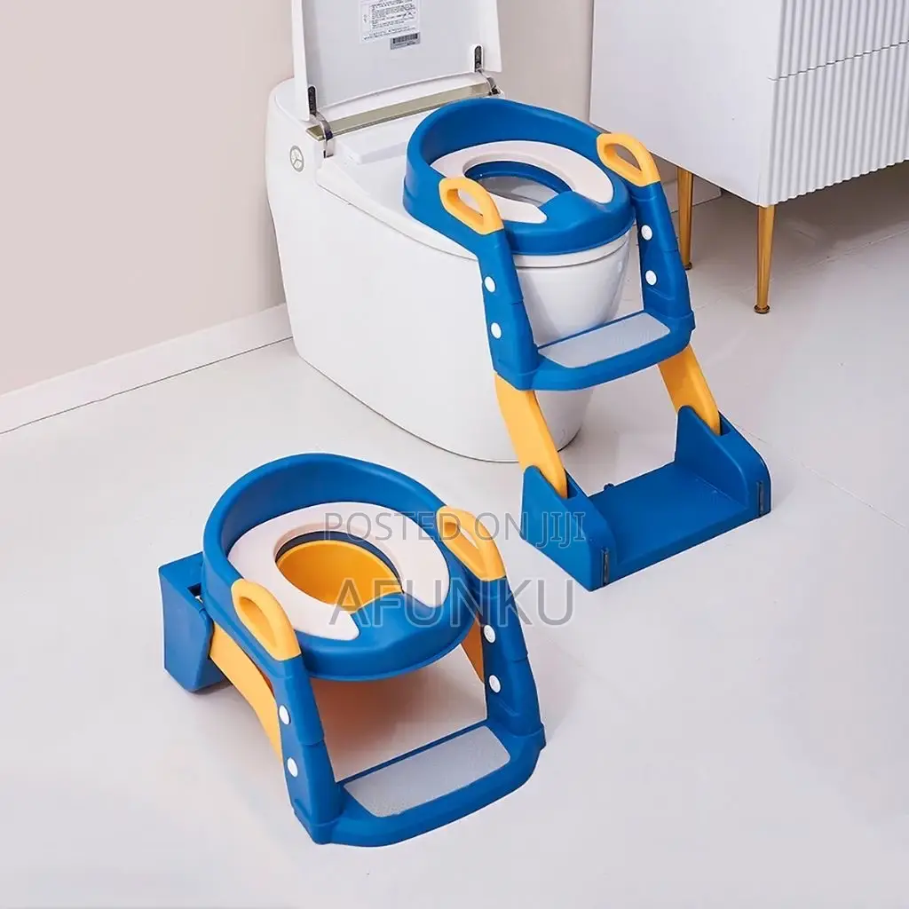 2 Way Kid Potty Ladder