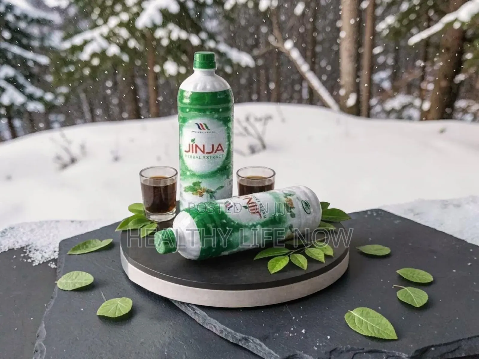 Jinja Herbal Extract Help Promotes Healthy Longevity