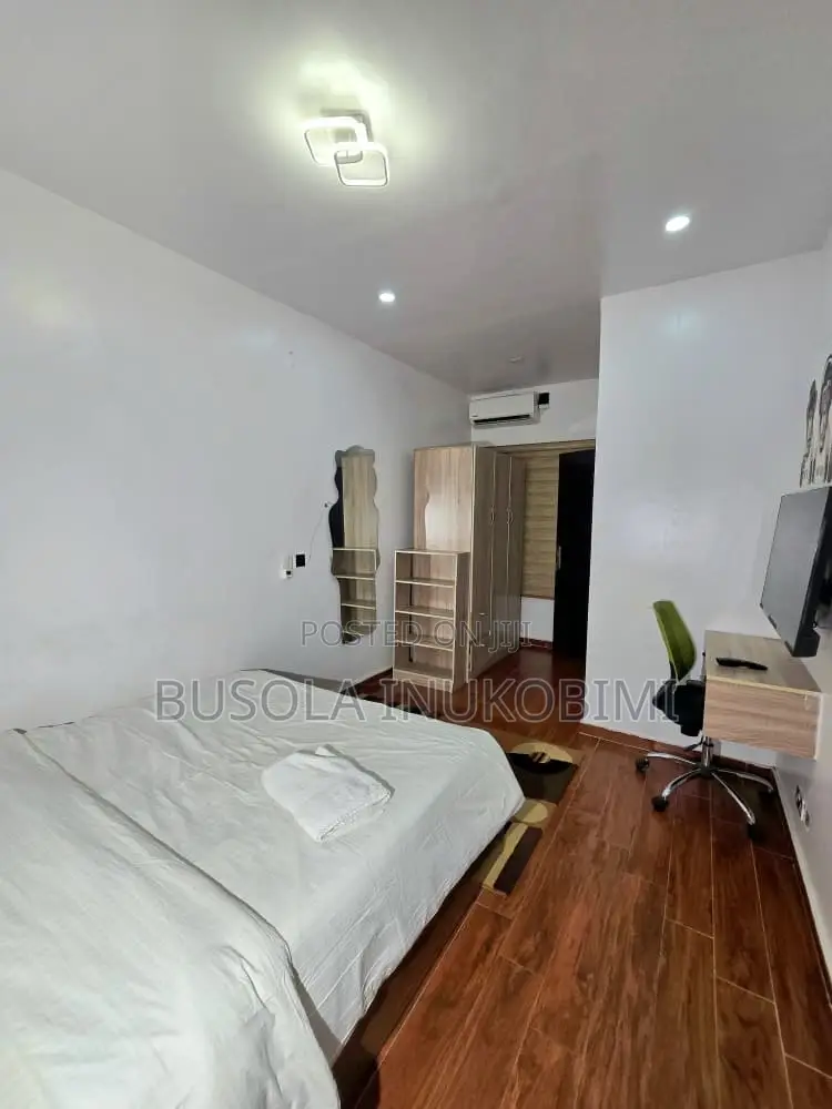 Spacious One Bedroom Shortlet Apartment Ikate