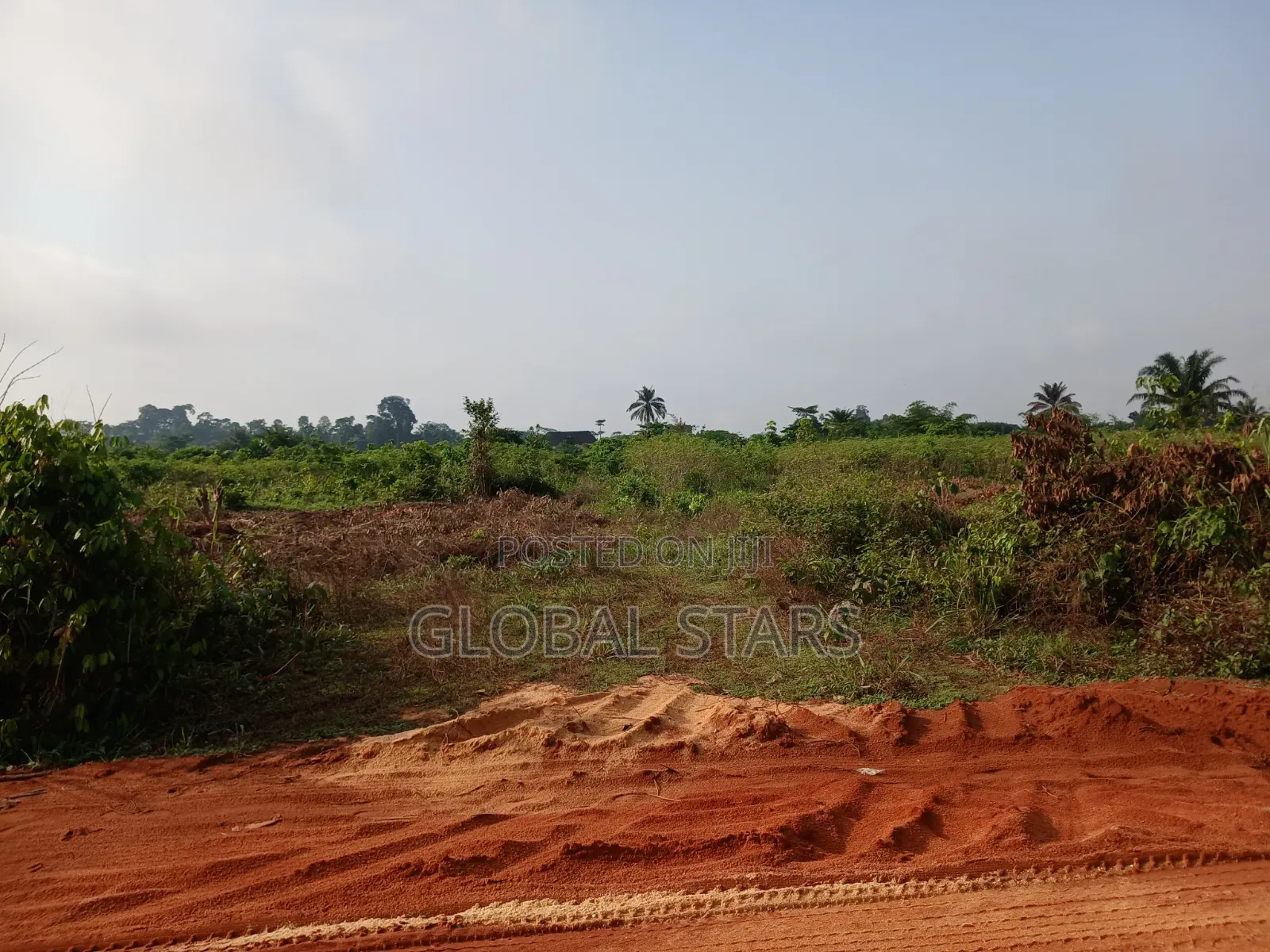 Plots Of Land Available At Premium Locations Along Auchi/Agbor Road