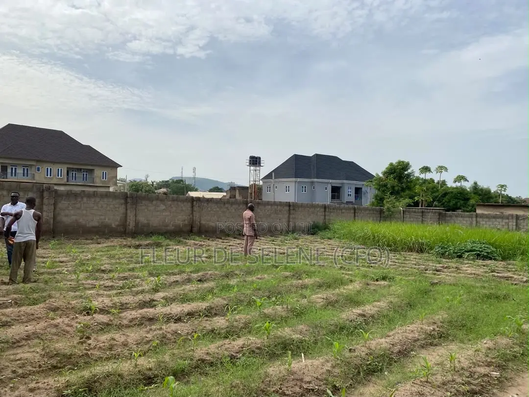 1000 Square Meter Of Dry Land