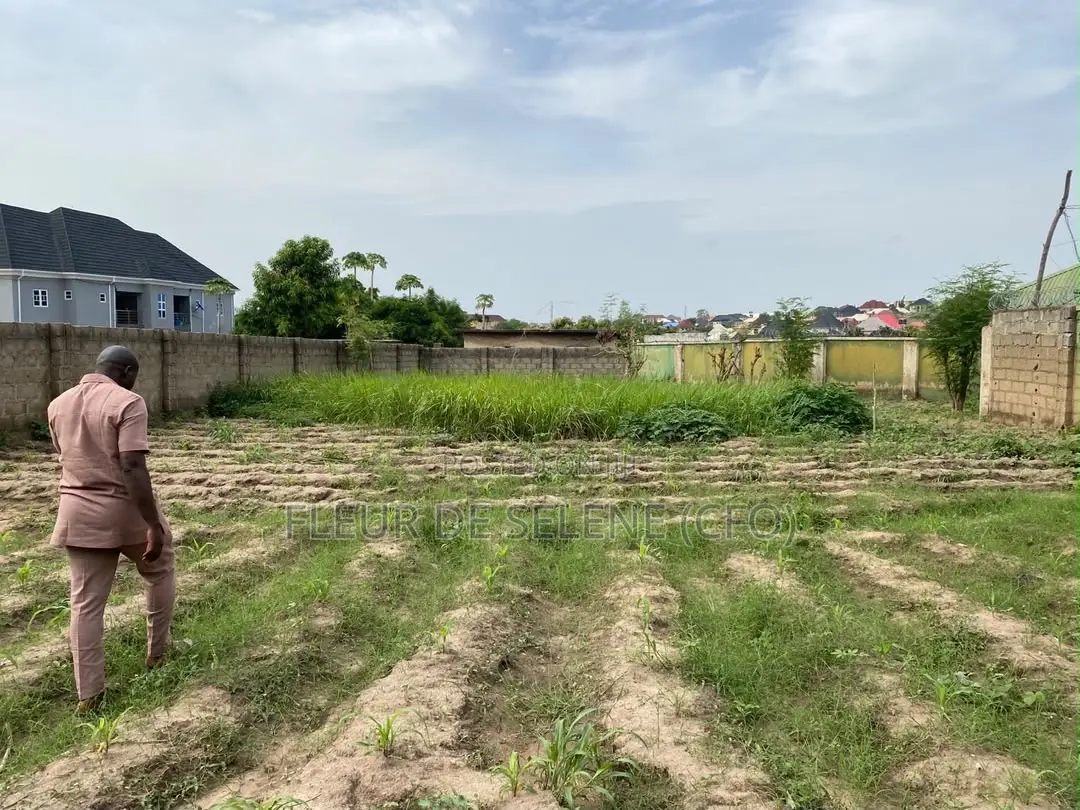 1000 Square Meter Of Dry Land