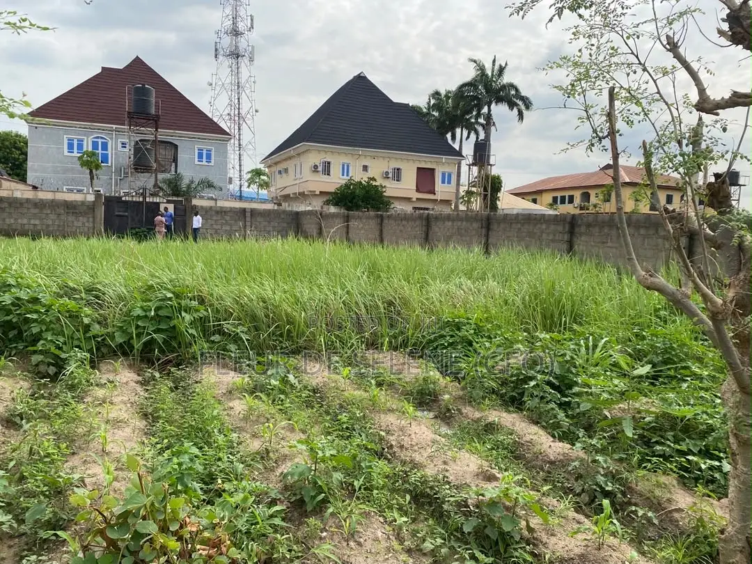 1000 Square Meter Of Dry Land