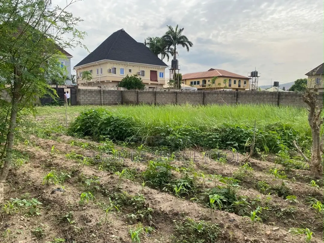 1000 Square Meter Of Dry Land