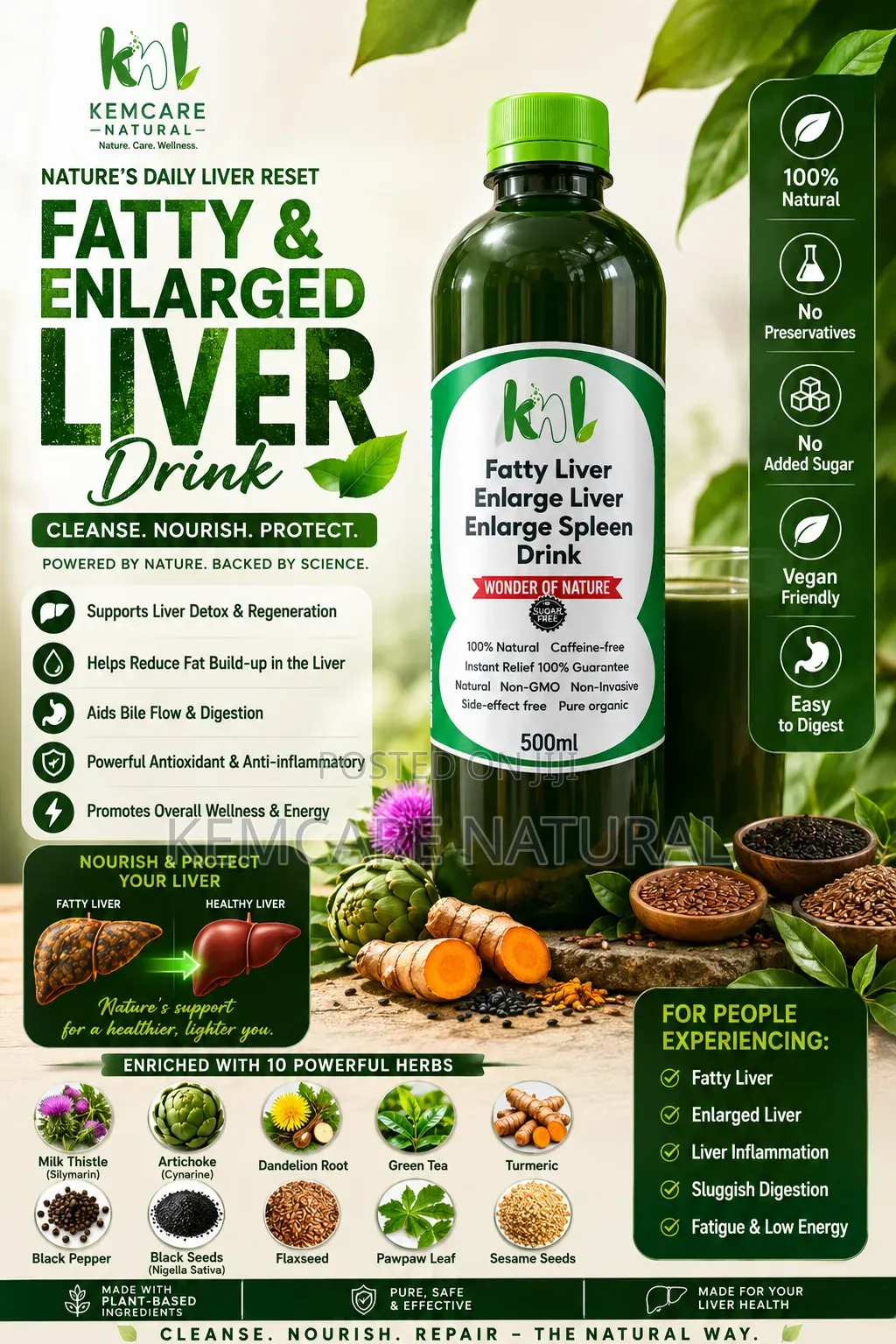 Fatty Liver Enlarge Spleen Tonic Drink Kemcare Natural Healthy Liver