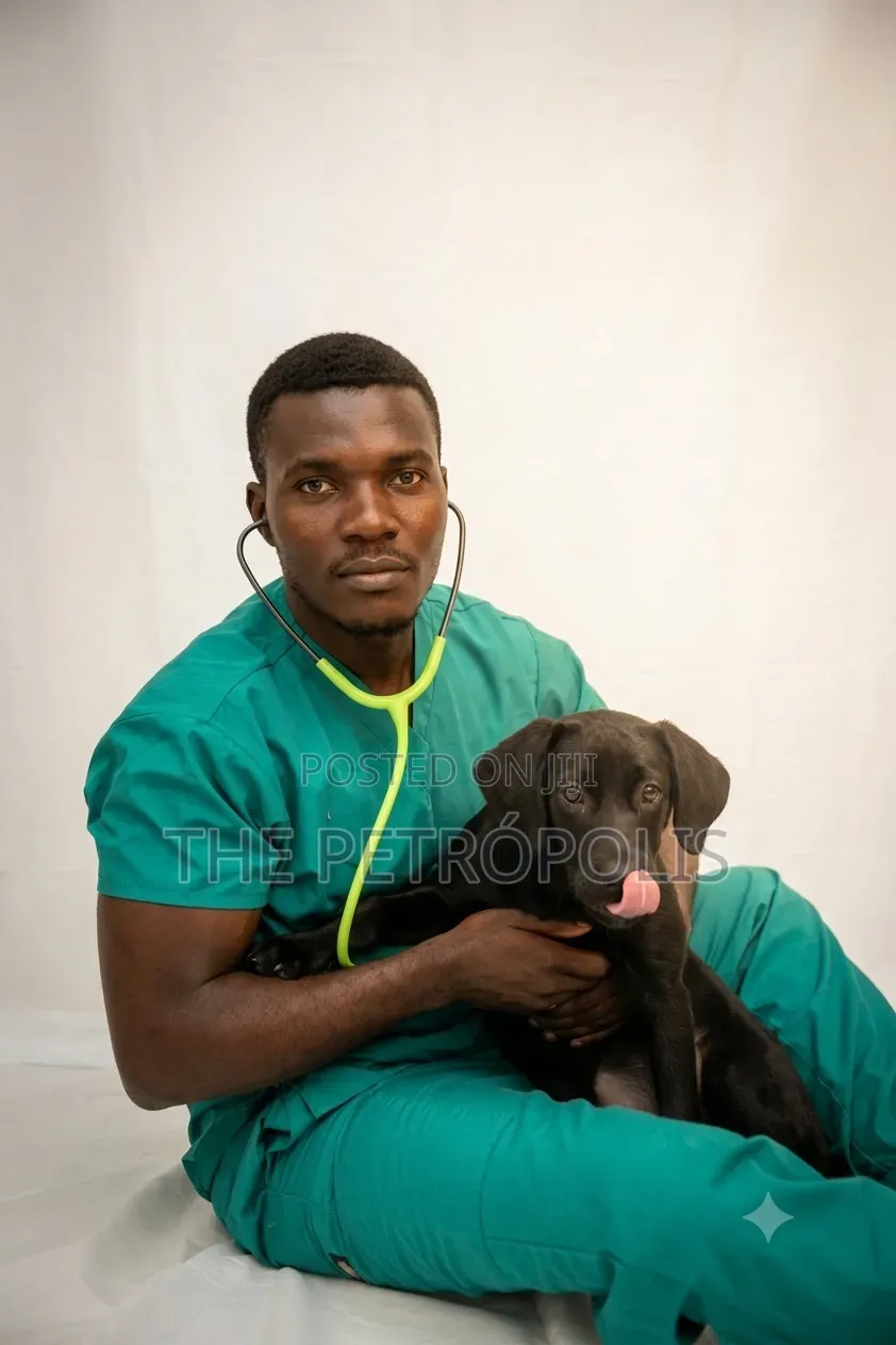 Is Your Dog or Cat Sick? See a Veterinarian | Petropolis Veterinary