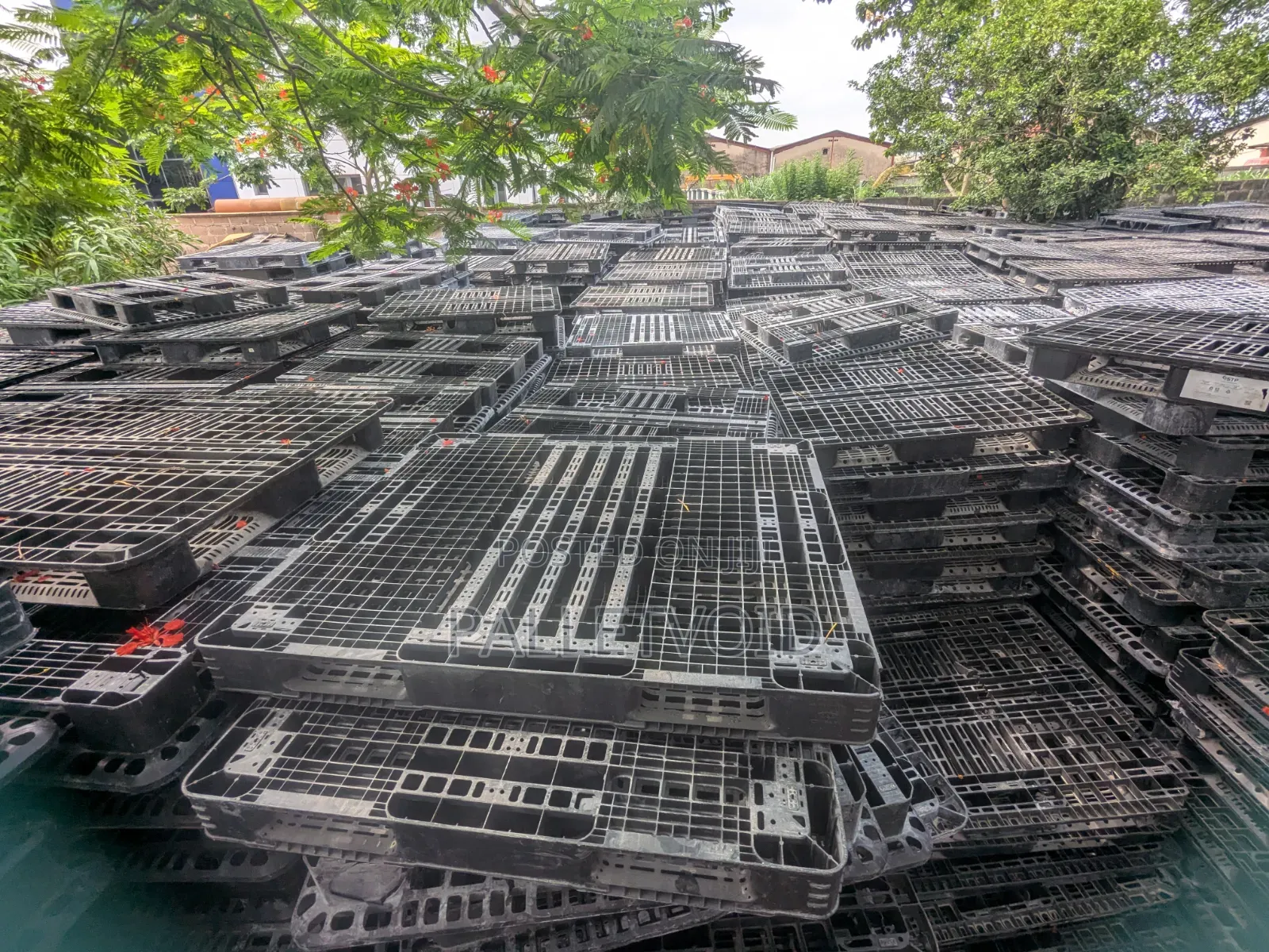 A World of Plastic Pallets