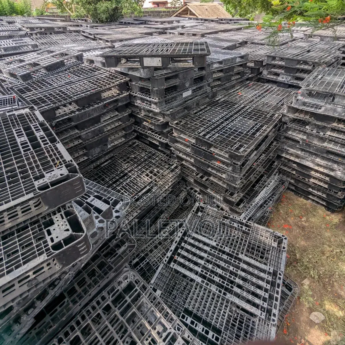 A World of Plastic Pallets