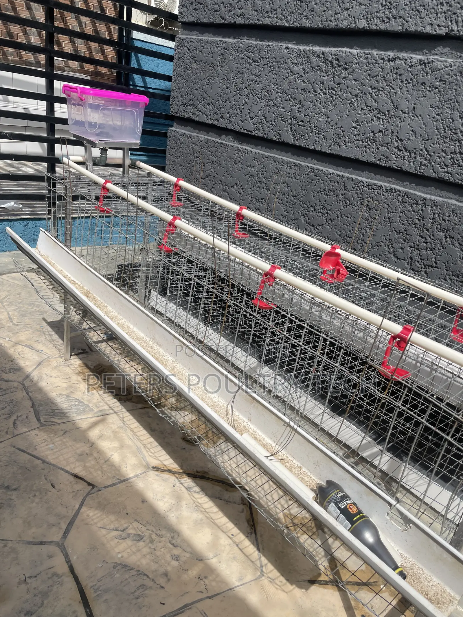 Poultry Cage
