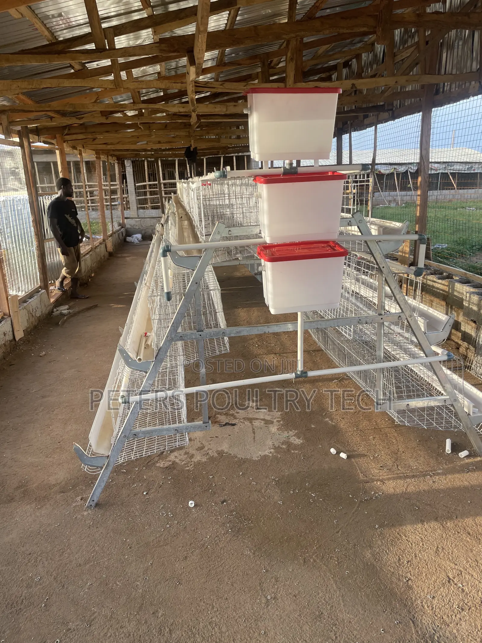 120 Capacity Poultry Battery Cages