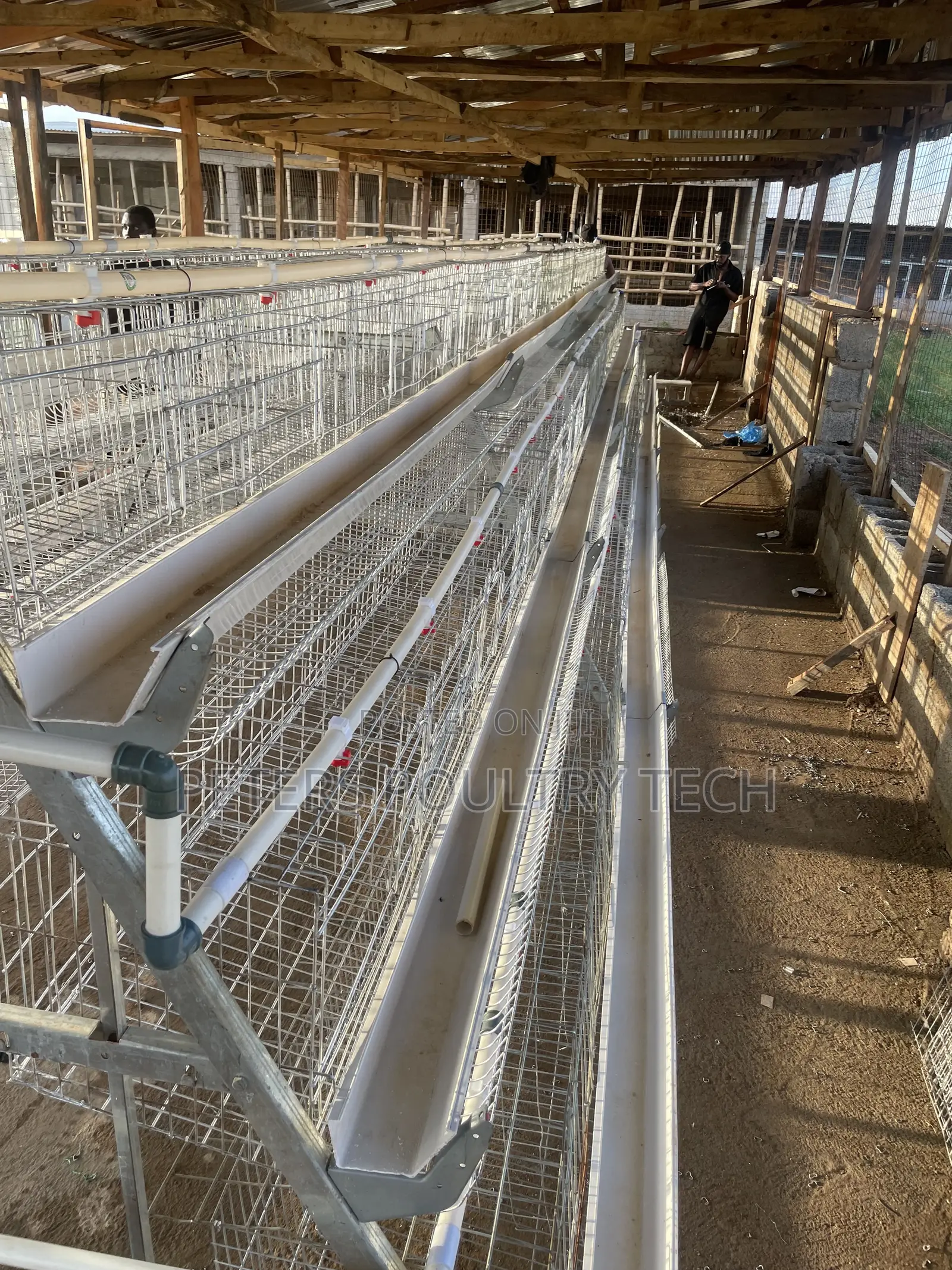 120 Capacity Poultry Battery Cages