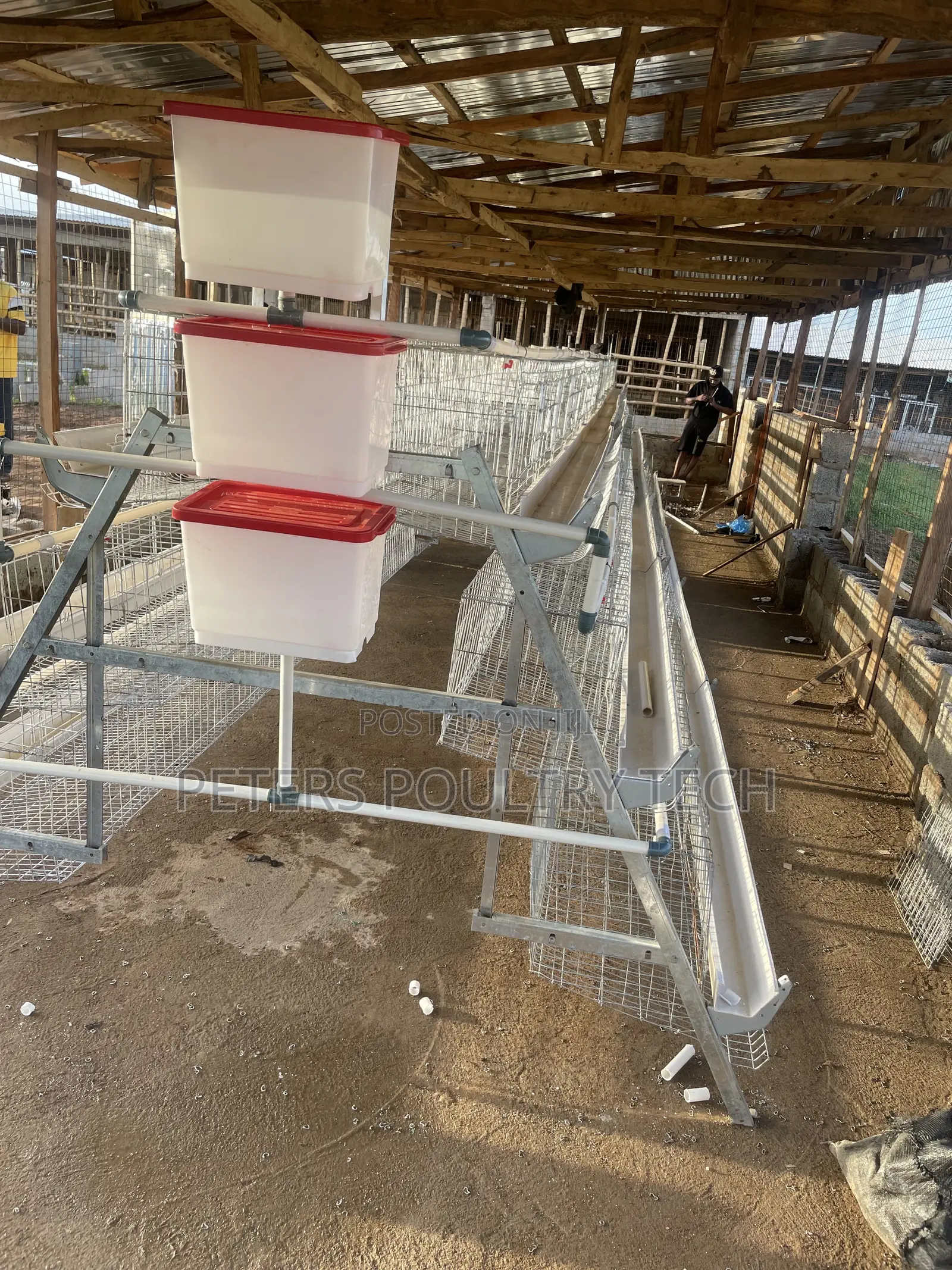 120 Capacity Poultry Battery Cages