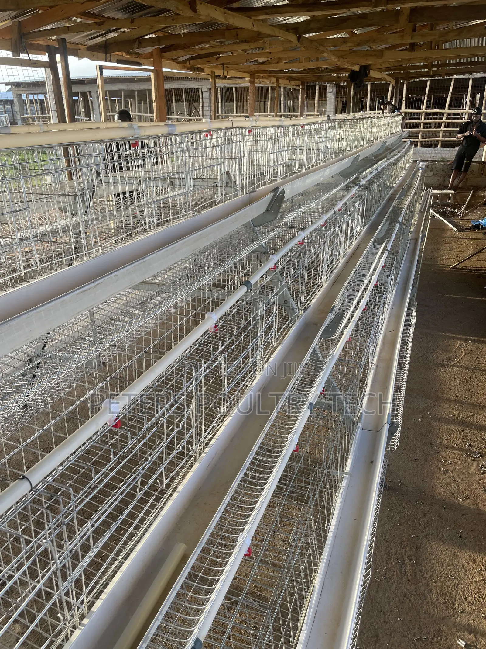 120 Capacity Poultry Battery Cages