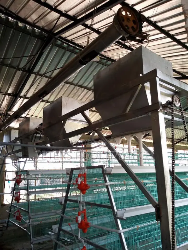 Automated Poultry Battery Cages
