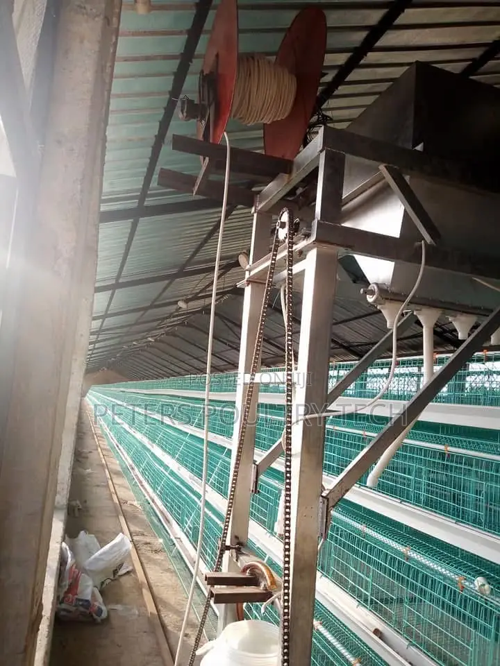 Automated Poultry Battery Cages