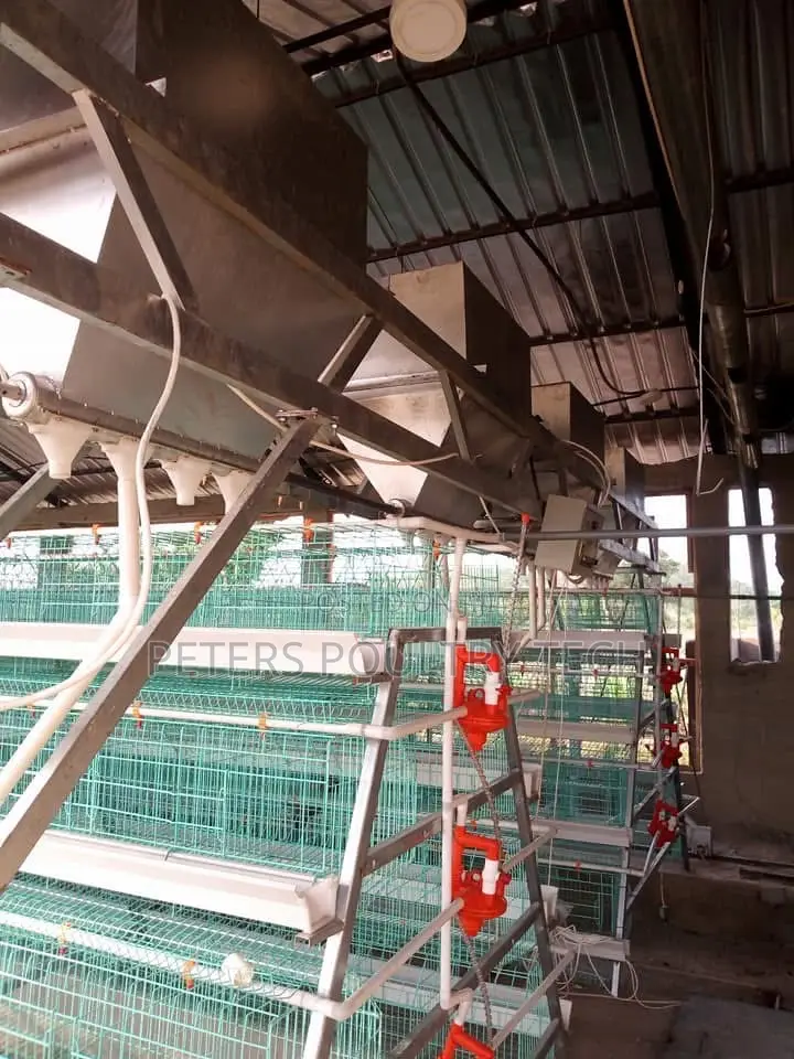 Automated Poultry Battery Cages
