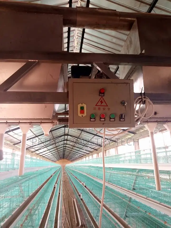 Automated Poultry Battery Cages