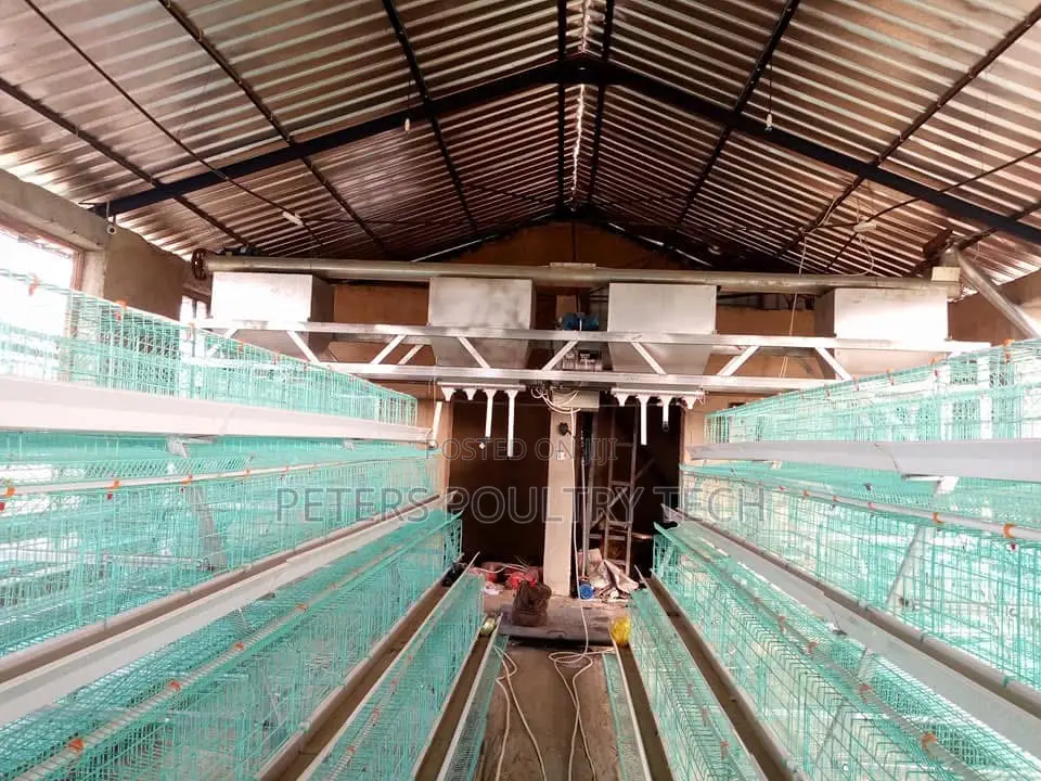 Automated Poultry Battery Cages