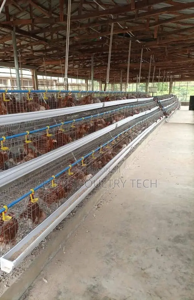 Poultry Farm Equipment