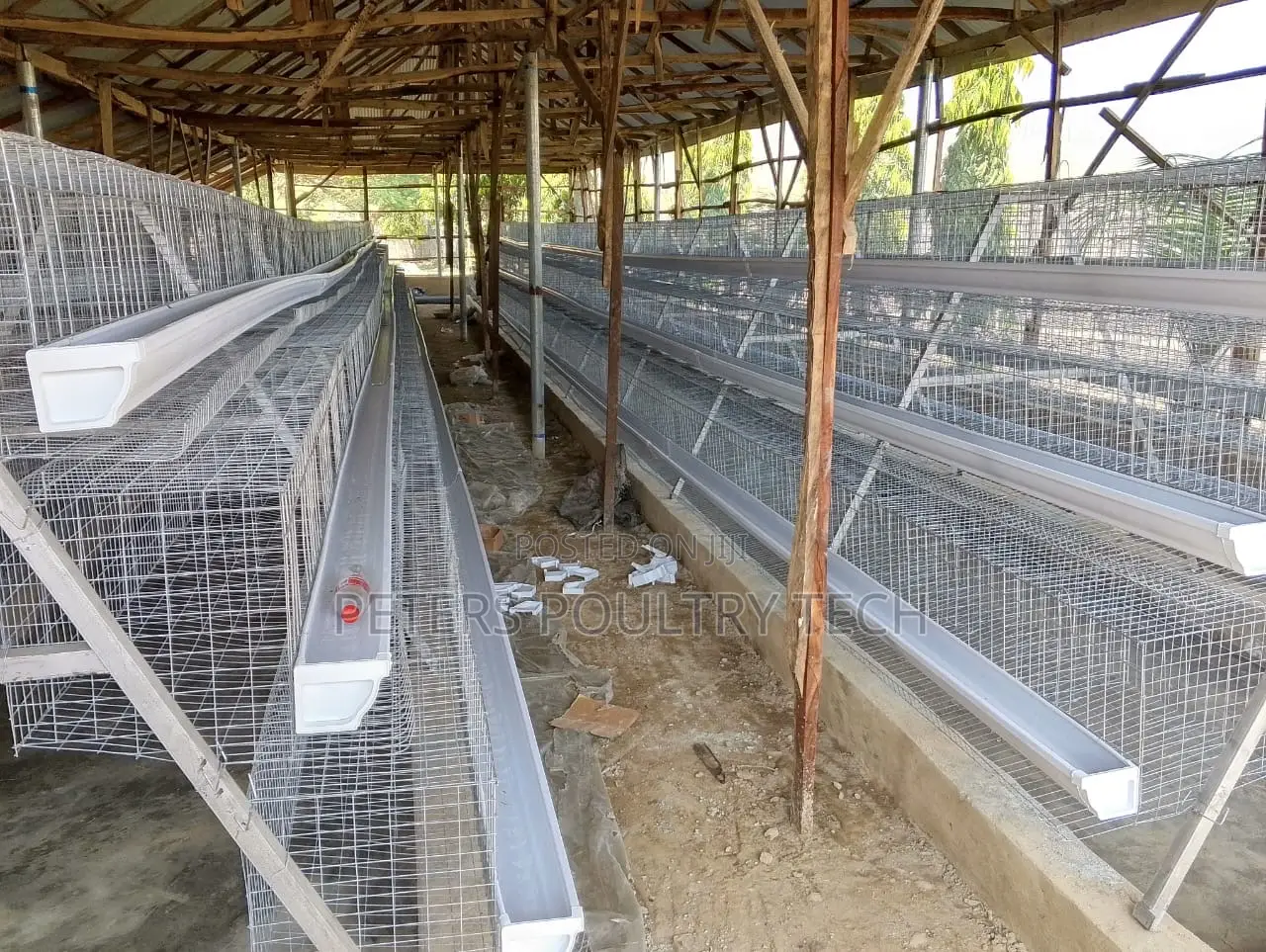 Poultry Farm Equipment