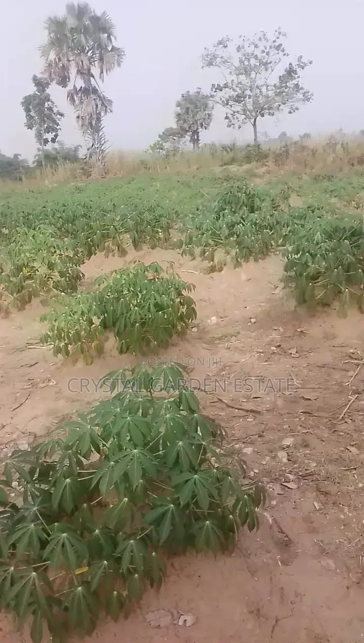 50x100sqm:Land for Sale at Ubulu Okiti