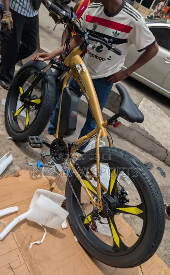 American Fitness Electric Bicycle