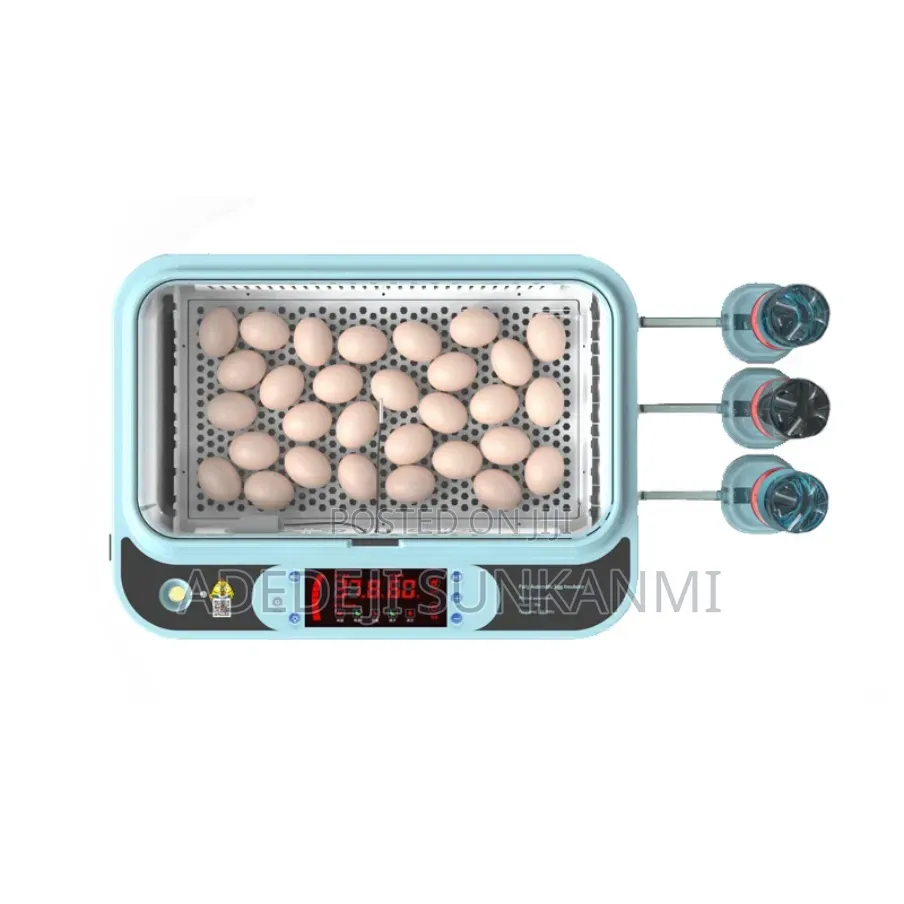 24 Eggs Automatic Egg Incubator