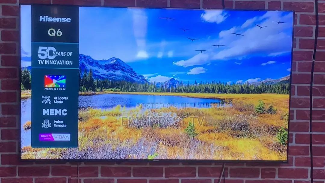 Hisense 65 Inches Qled Q6