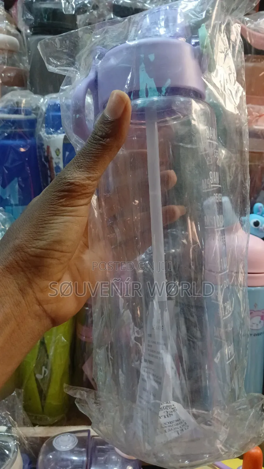 Souvenir Water Bottle