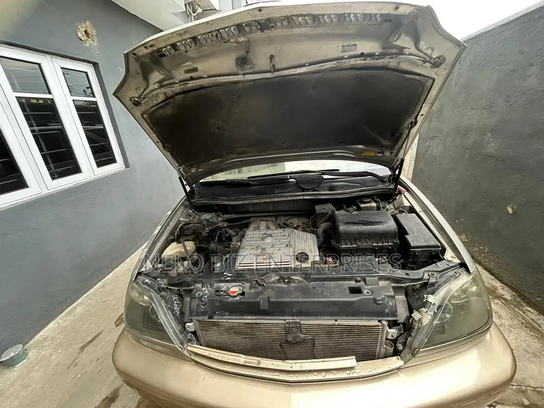 Lexus RX 2003 Silver