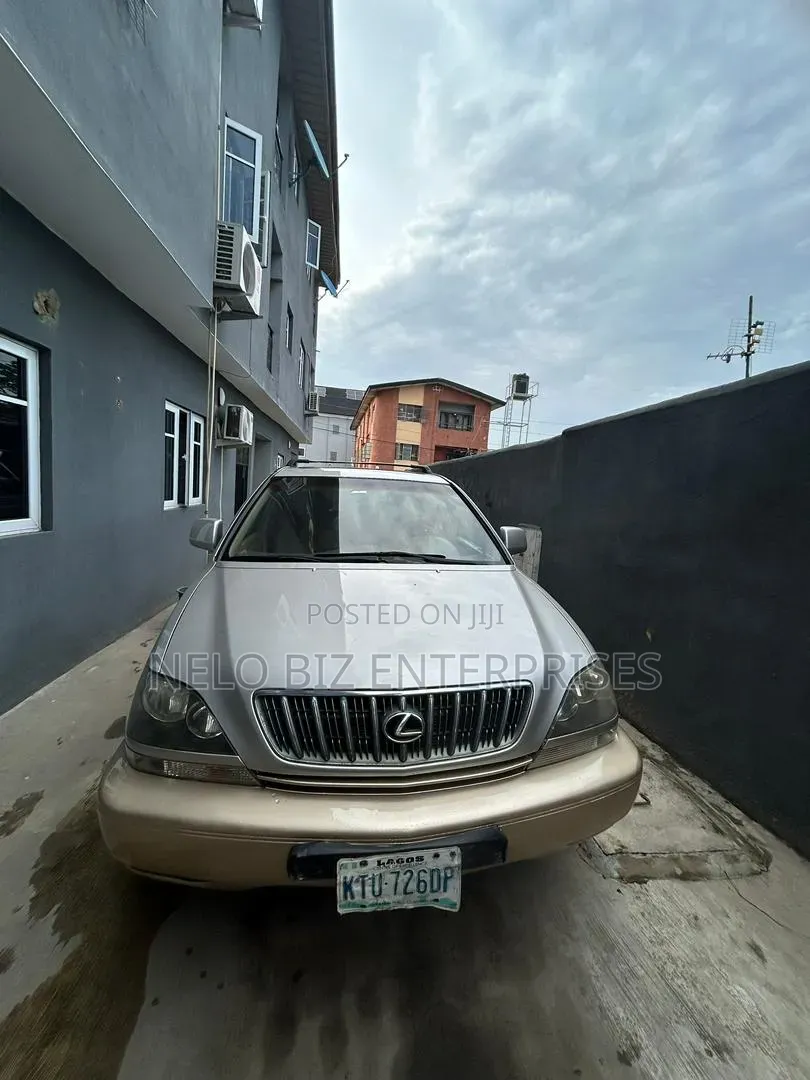 Lexus RX 2003 Silver