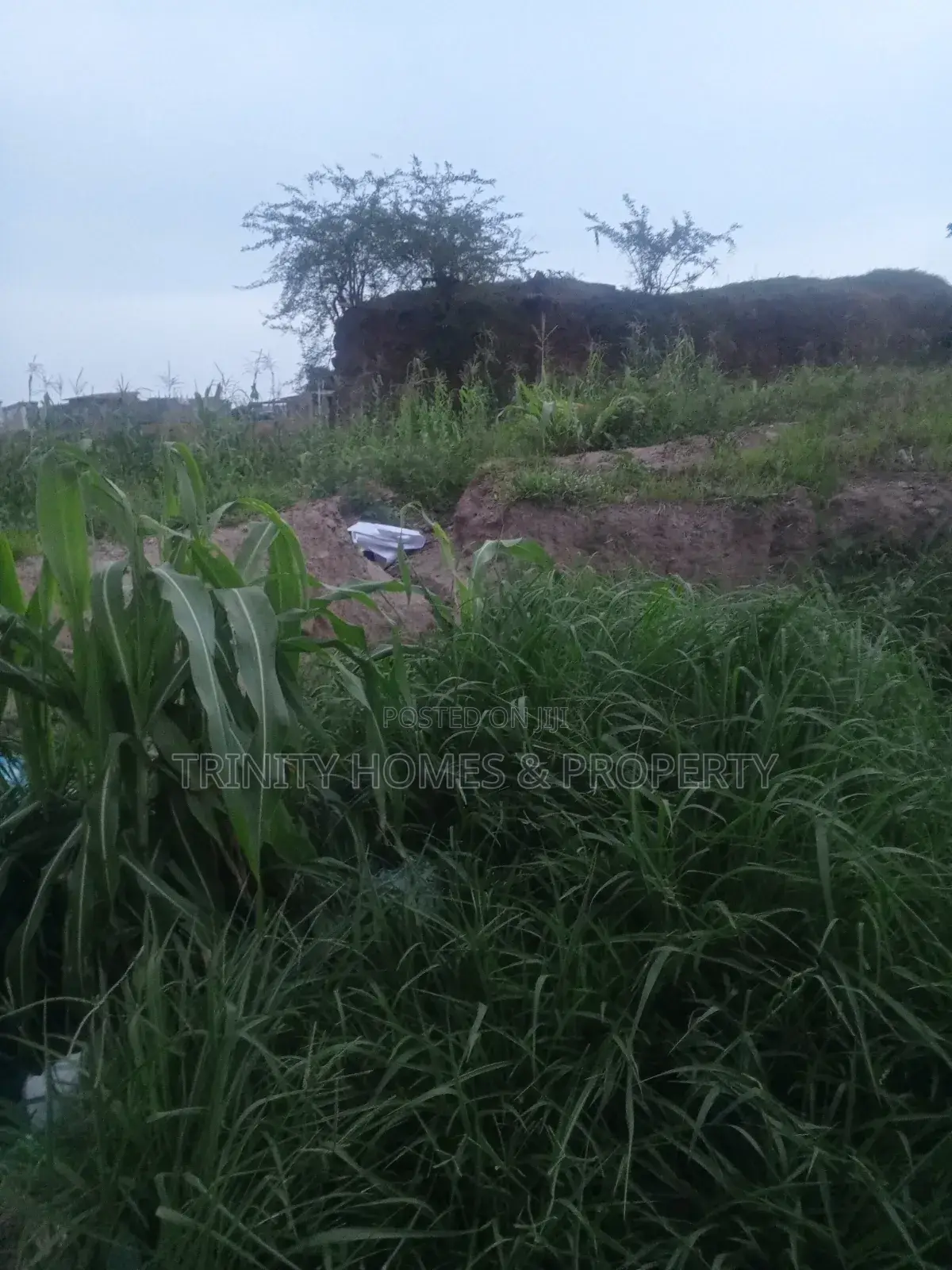 1.43 Hectares Land in Duboyi/Gaduwa, Abuja