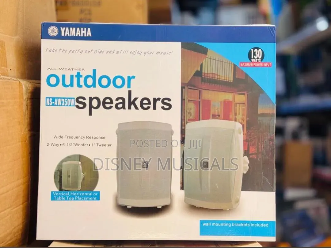 Indoor and Outdoor Speaker System