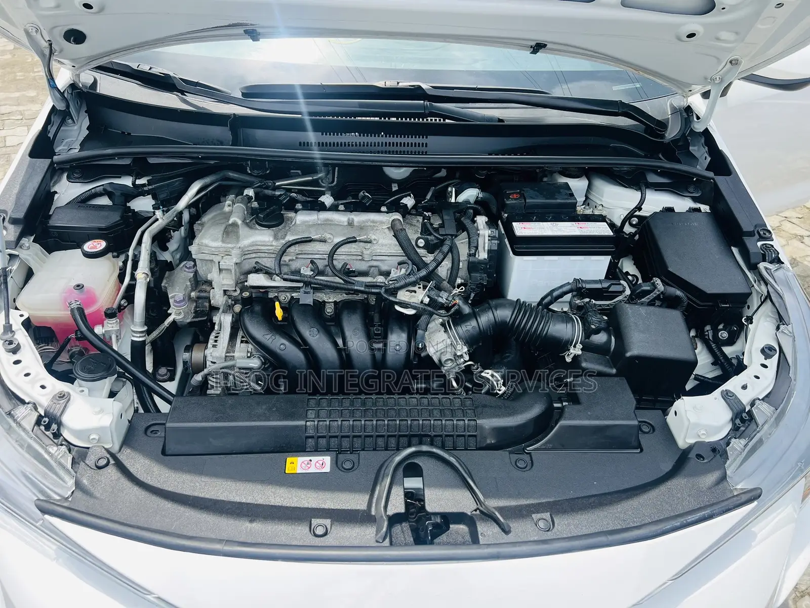 Toyota Corolla LE 2021 White