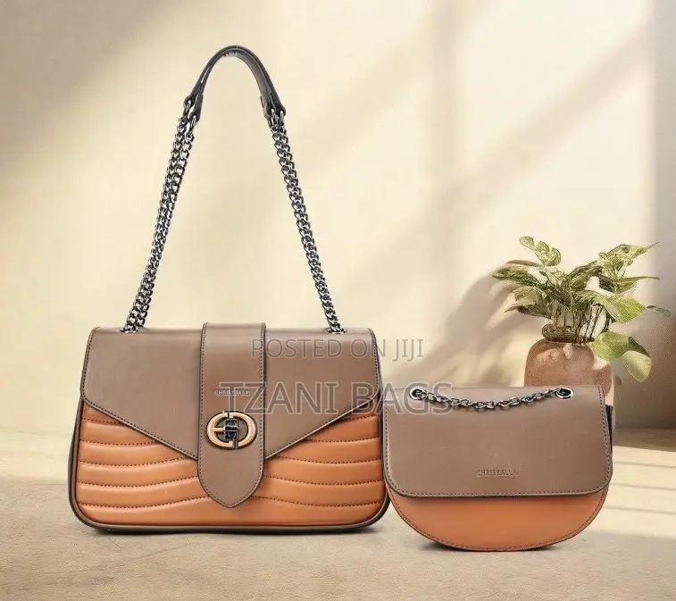 2 in 1 Handbag