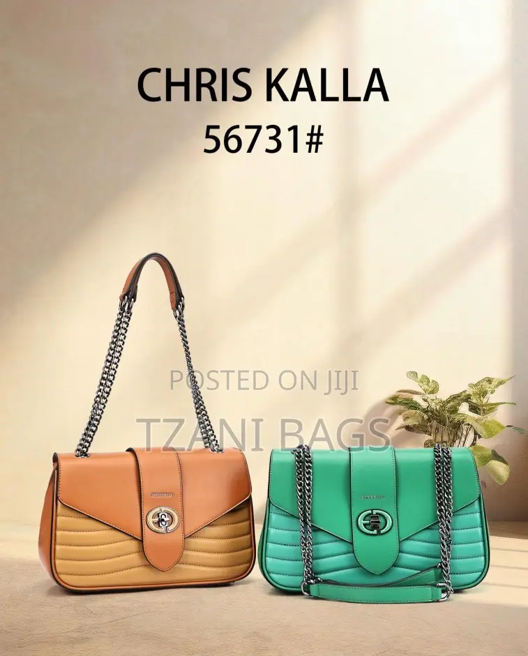 2 in 1 Handbag