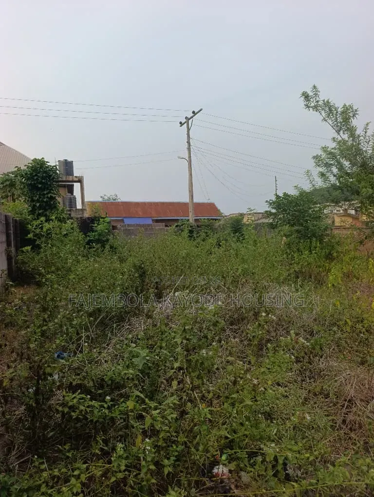 A Well Fenced and Gated Two Plots of Land