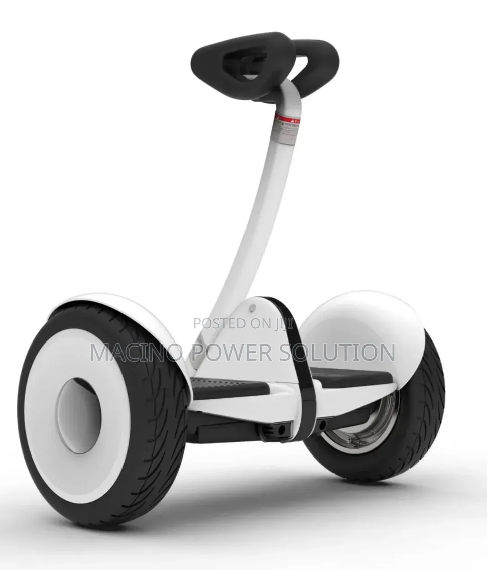 Electric Self Balancing Scooter With Two Wheels