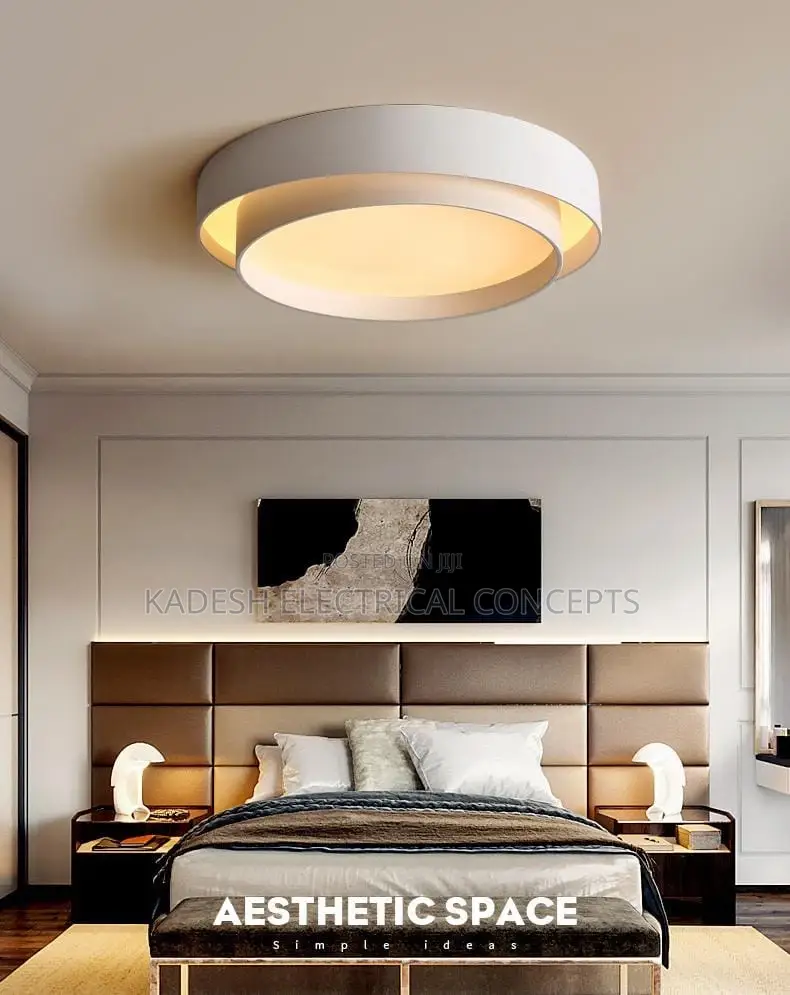 Nordic Led Ceiling Lamp Designer Living Diningroom Chandelier Lighting