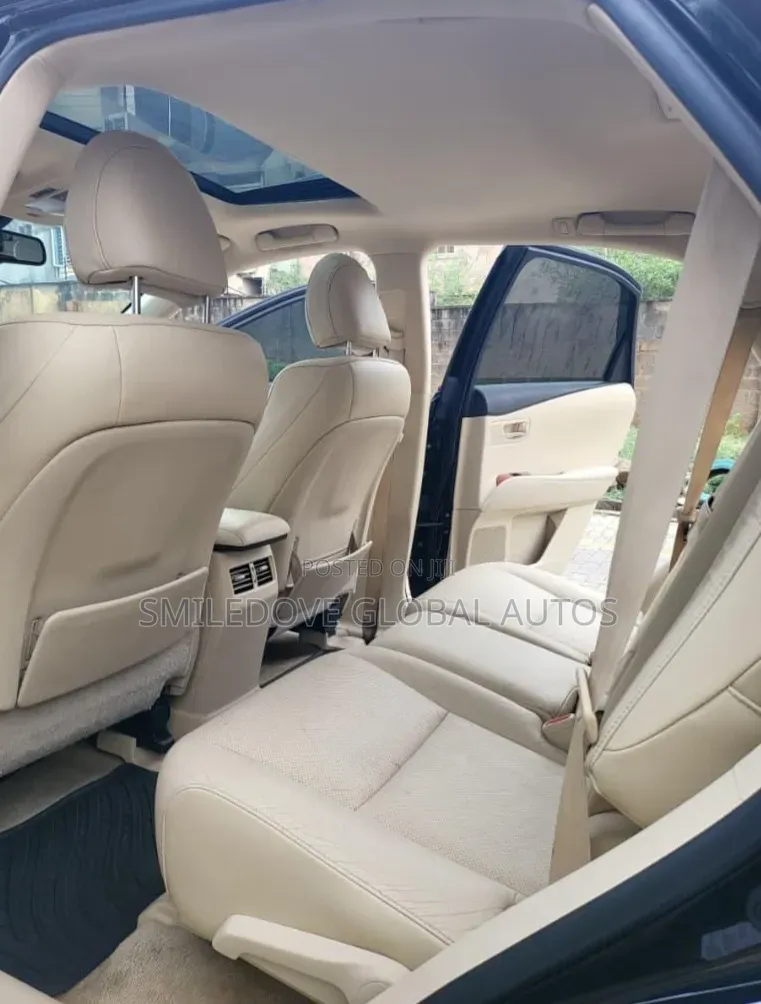 Lexus RX 2010 Black