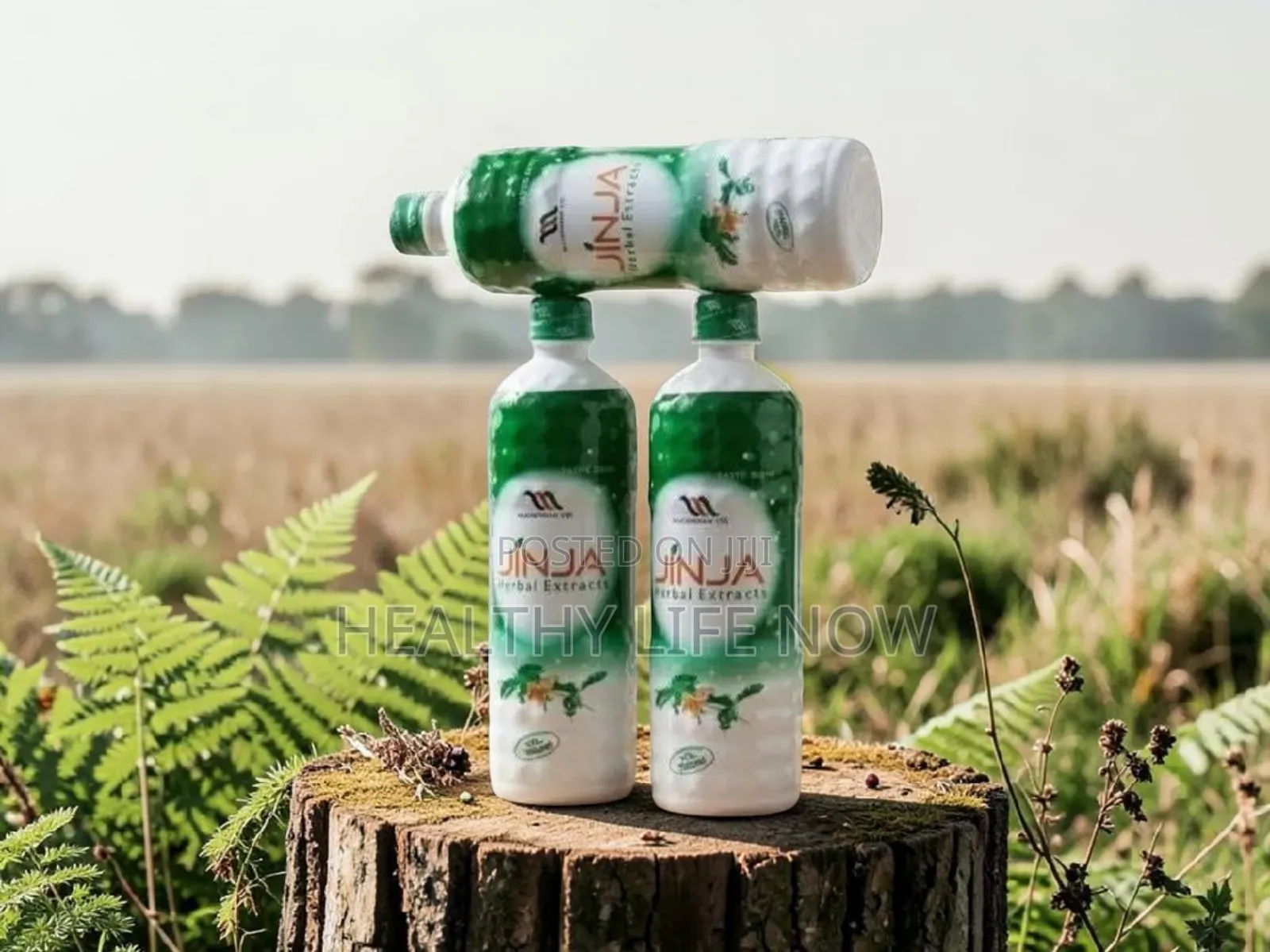 Everyday Protection With Jinja Herbal Extract Is What You Need