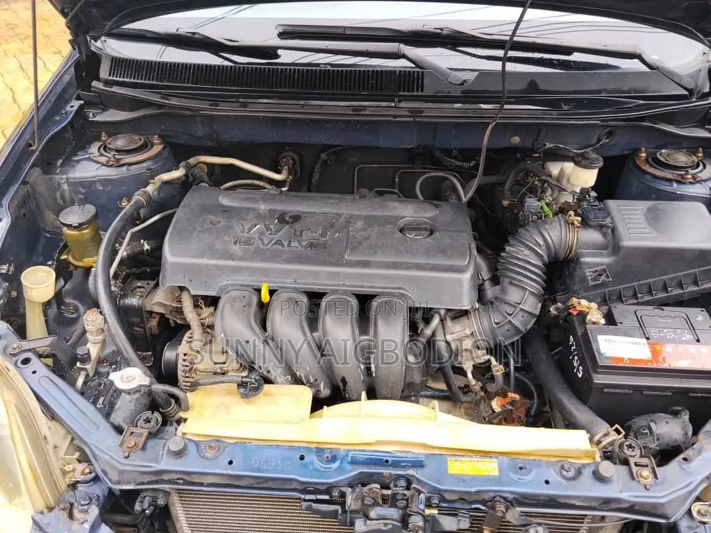 Toyota Matrix Hatchback FWD (1.8L 4cyl 5M) 2005 Blue