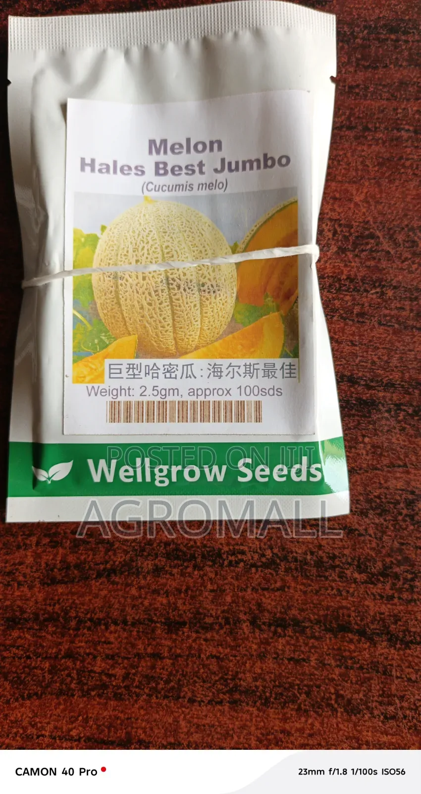 Sweet Melon F1_seeds