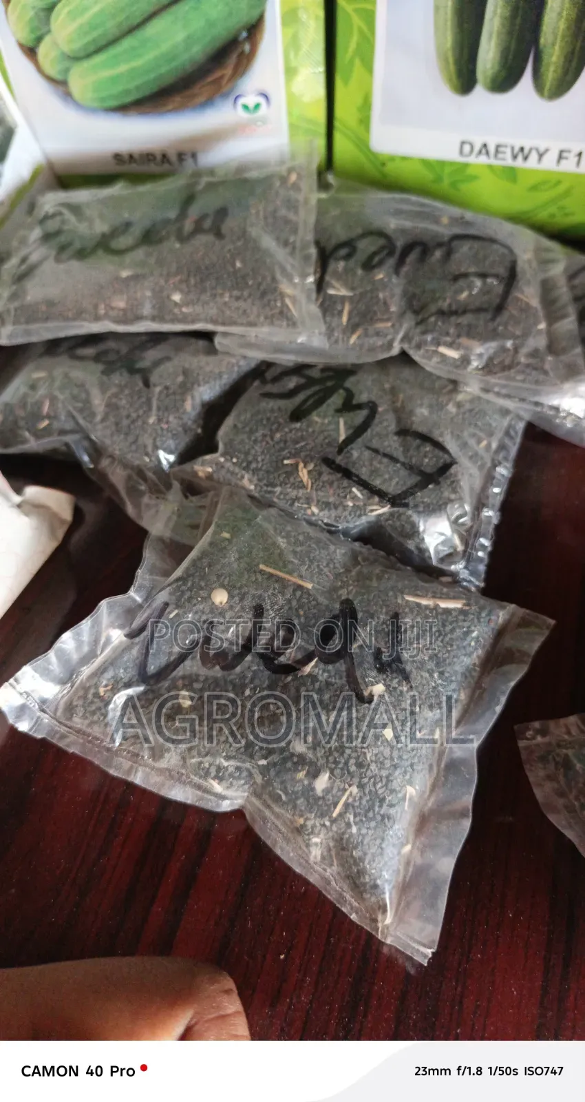 Vegetable Seeds _ Okra, Ewedu, Soko, Tete