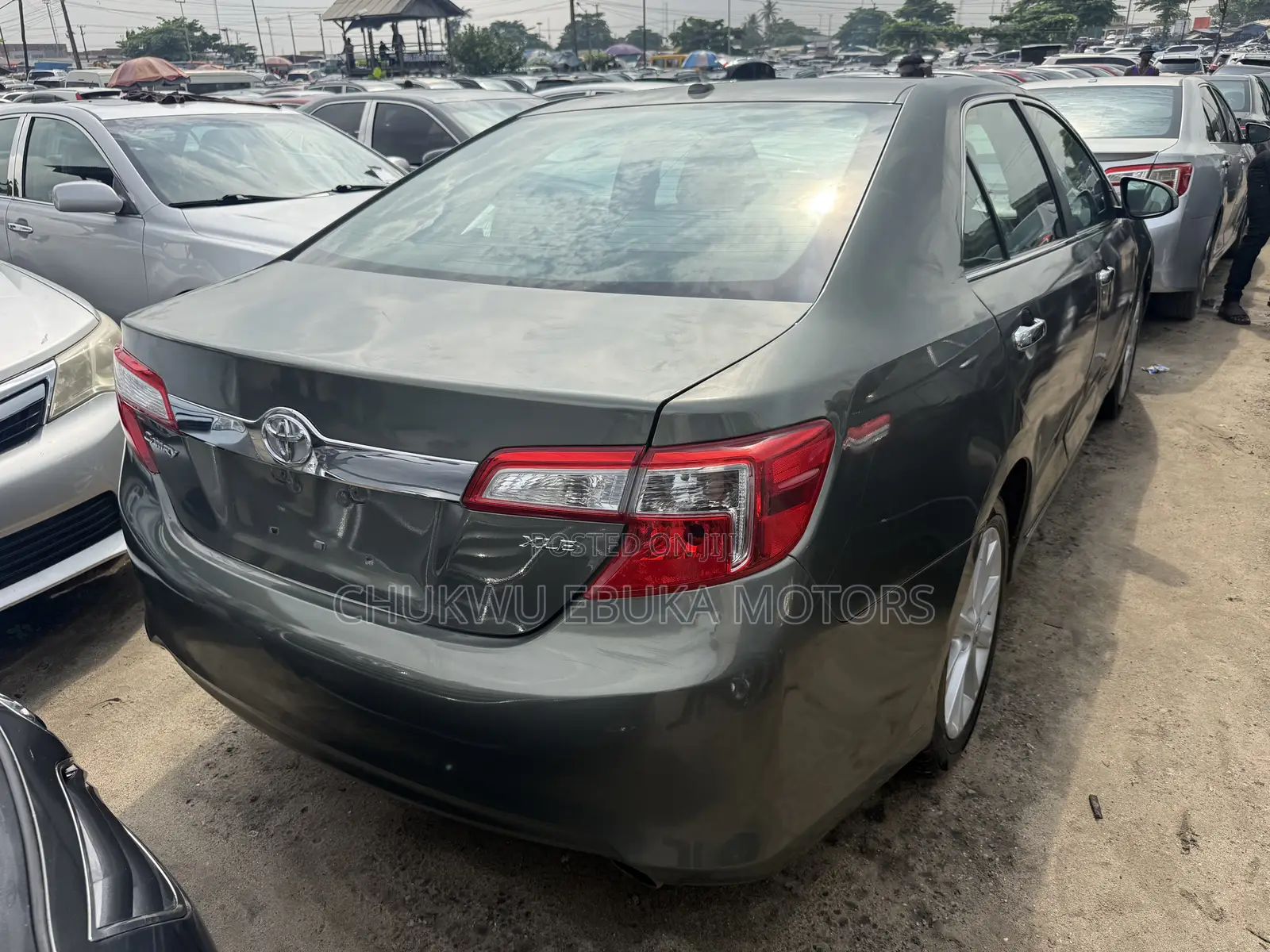 Toyota Camry XLE 4dr Sedan (2.5L 4cyl 6A) 2014 Green