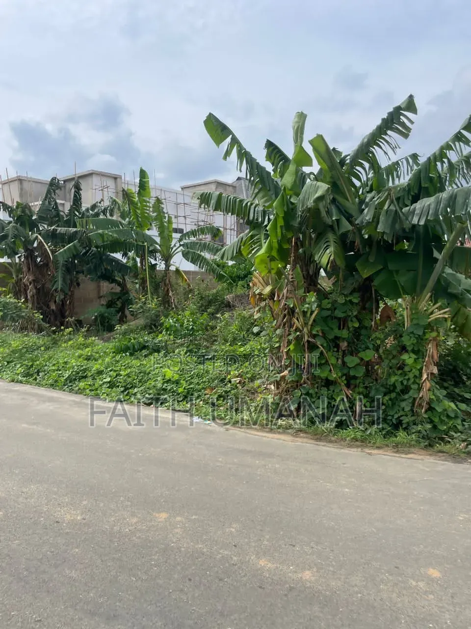 Government Residential Land