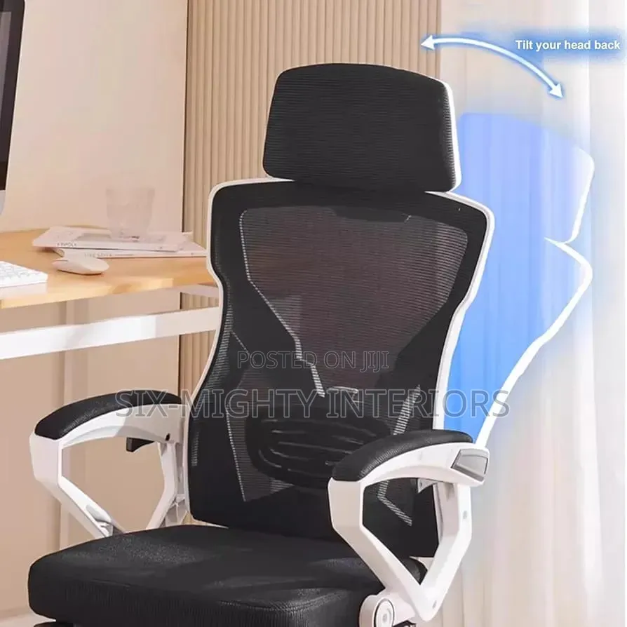 Ergonomic Office Chair